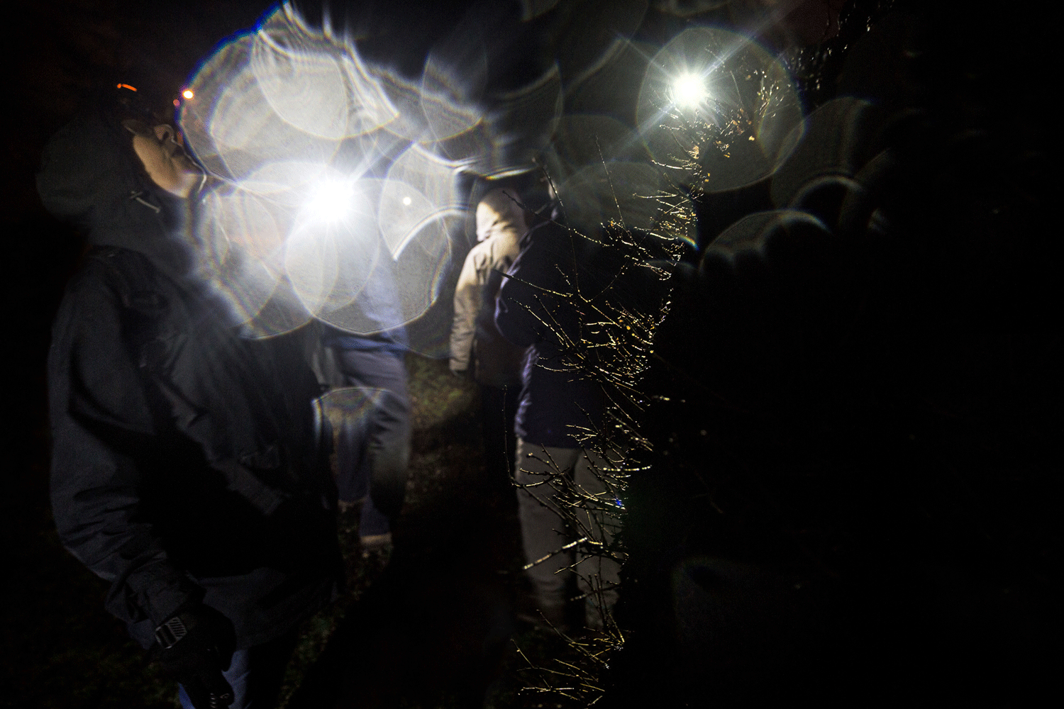 Bracknell Dusk Walkers