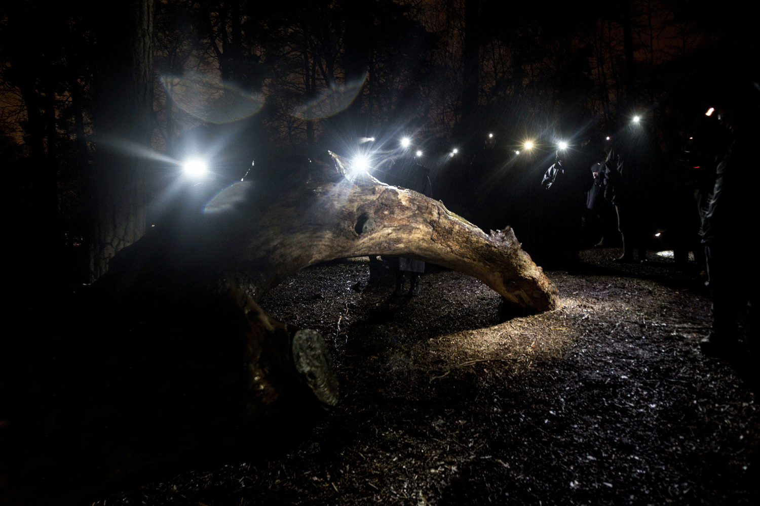 Bracknell Dusk Walkers