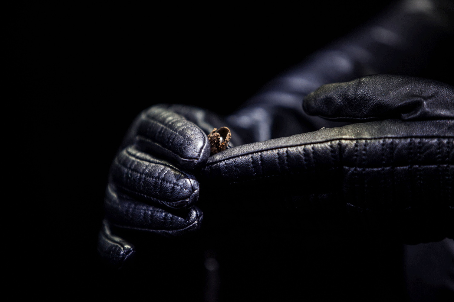 Bracknell Dusk Walkers