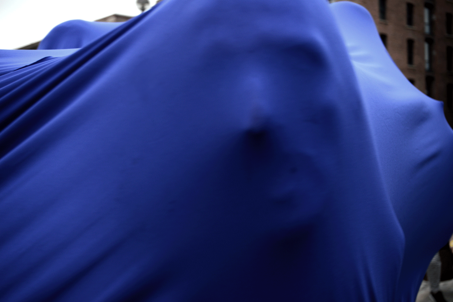 Parade of Living Sculptures