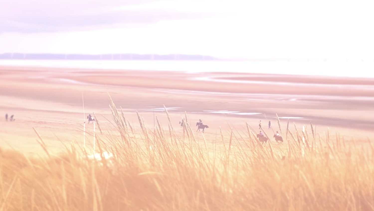 Butterflies in the Chaos