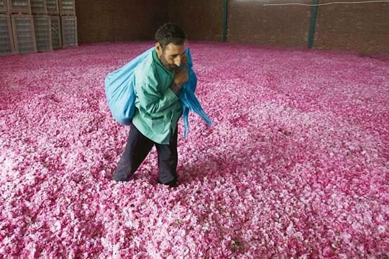 3cb8e7084f760d41863b85cb95e48430--iranian-middle-east