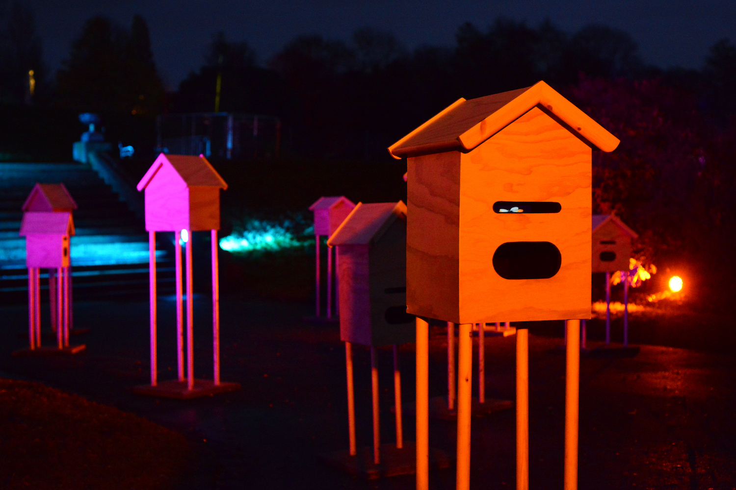 In a City of Flowers