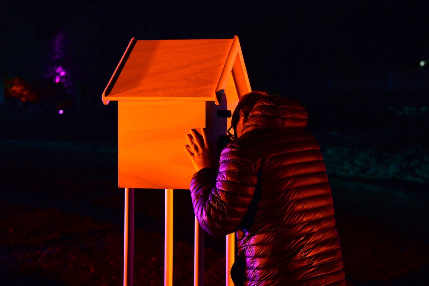 In a City of Flowers