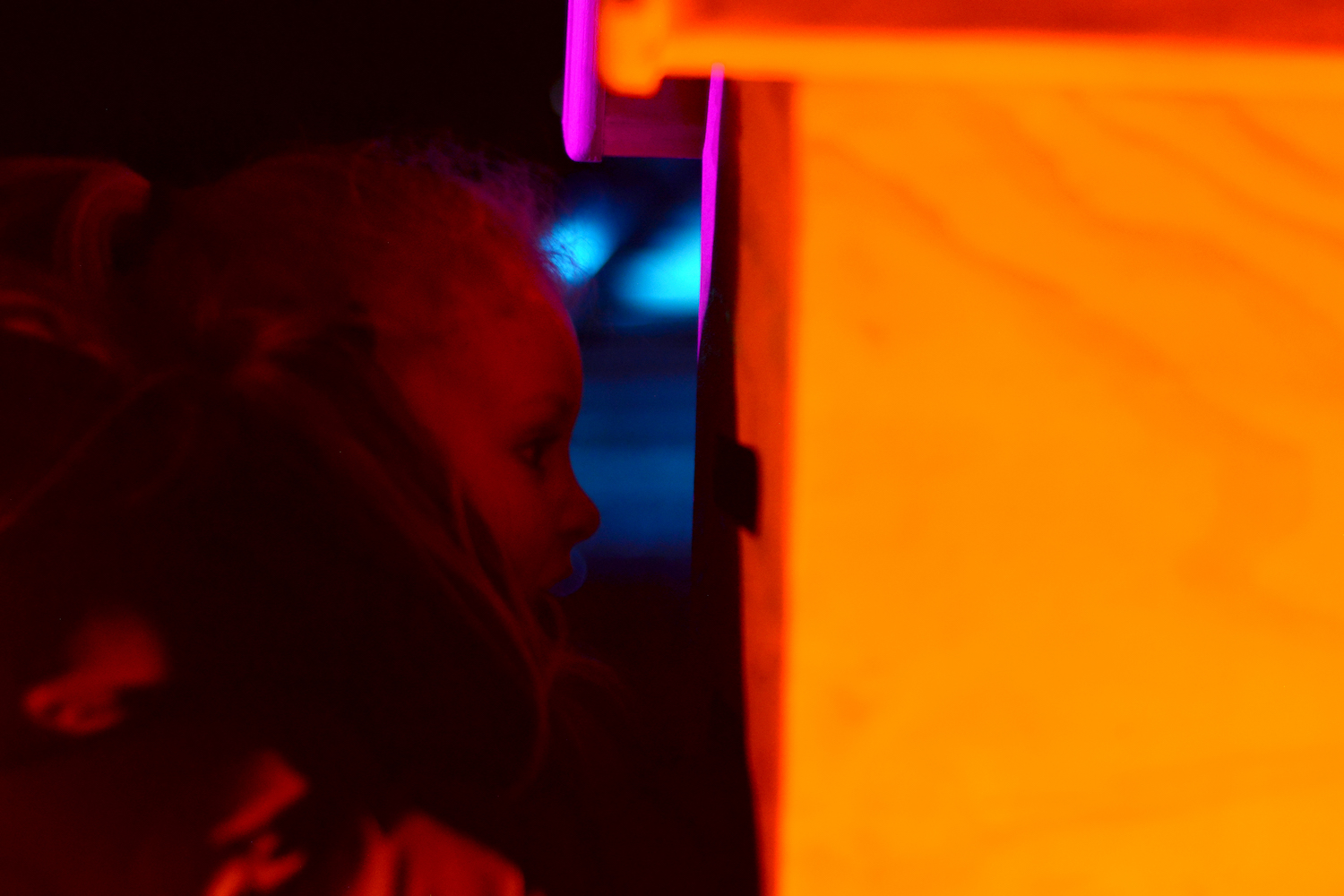 In a City of Flowers