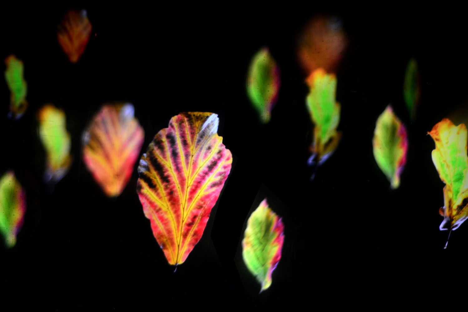 What We Leave Behind
